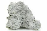 Gleaming Cubic Pyrite Crystals with Clear Quartz - Peru #351189-1
